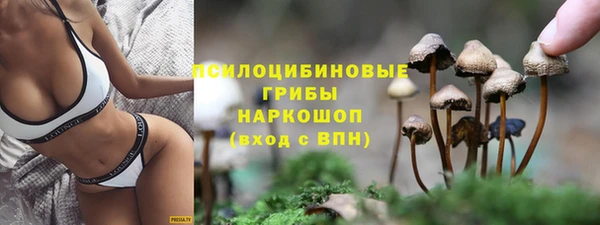 ГАЛЛЮЦИНОГЕННЫЕ ГРИБЫ Дмитровск