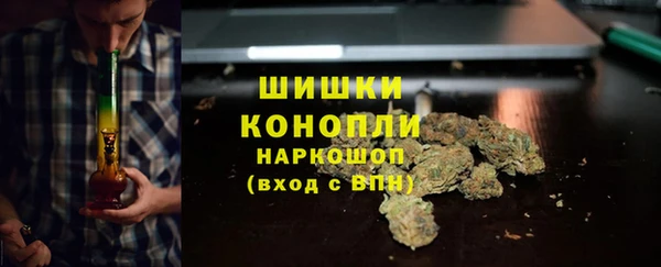 скорость Ельня