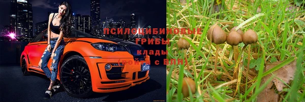 мескалин Елабуга
