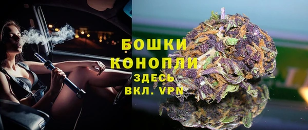 бошки Дмитриев