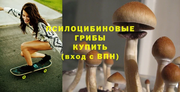 скорость Ельня