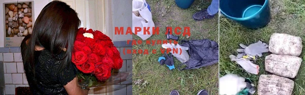 бошки Дмитриев